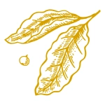 Łagodne